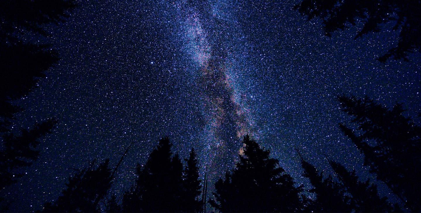 A view of the unpsoiled night sky from a remote forest